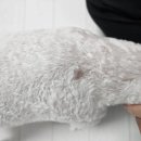 까까요 dog 이미지