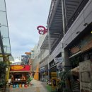 뷰티독 | 마이뷰티독 원마운트점에서 포메미용 후기입니다