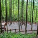 와룡자연휴양림 이미지