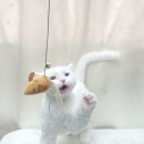 원 반려동물 미용실 | 갈산동애견미용 원반려동물미용실에서 사랑스러운 우리 강아지 변신 후기