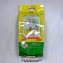 비디사이언스 이미지