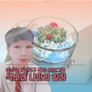 제주순복음사회복지관 | 복지관 건강 프로그램 중장년 1인가구 색모래 테라리움 체험 후기 | 힐링 클래스(제주강사)