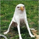 공덕코어 이미지