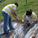 순복음목장 이미지