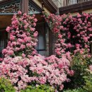 선샤인스포츠 이미지