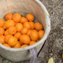 야베스 농장 이미지