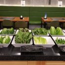 팜팜대패 이미지