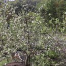 추정3리 이미지