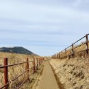 용눈이오름 주차장 이미지