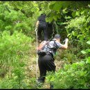 밤나무집 이미지