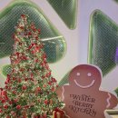 호텔25시 더파크서면점 | 비발디파크 딸기뷔페 더 엠브로시아 후기 홍천 겨울 당일치기 가족여행 스키