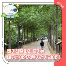 대구선아양공원 이미지