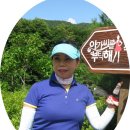 땡빛 이미지