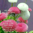 담아서 이미지