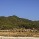 칠곡면신포숲 이미지