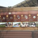 칠곡양떼목장 이미지