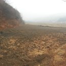 분지농장 이미지