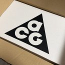 5668 | 나이키 ACG 울트라플라이 트레일 HF5668-801 실물후기, 사이즈추천