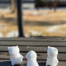 동부여성사우나 | 12월 제주도 한라산 날씨 겨울 등산 복장 체크리스트(사우나 코스포함)