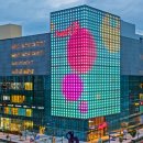 몰리스펫샵 스타필드시티 위례점 이미지