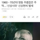 신상사 사망 이미지