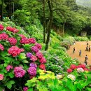 (주)포항건강랜드 이미지