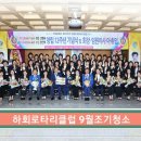 신갑연 Daum카페