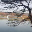 고기1통 이미지