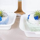 향동숲내초등학교 이미지