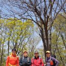 남한산성 라운딩 (신록의 봄날, 산성 한바퀴 돌기) 이미지
