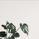 요가스튜디오숨 이미지