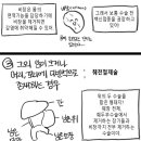 내가 췌장암 보호자라니 만화 2편- 전원 및 수술편 이미지