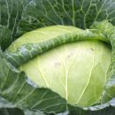 위너스케어 이미지