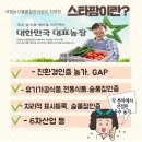 스타팜 | 문경 STX리조트 대한민국스타팜 워크숍 후기