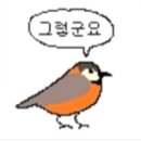 지나헤어 이미지