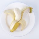 바나나동물병원 이미지