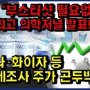 세계최고 의학저널 랜셋 "부스터샷 필요없다" 보고서 나오자..모더나·화이자 주가 '뚝' 이미지