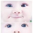 와이즈인터랙티브 이미지