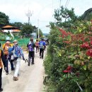 강에가펜션 이미지