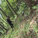 삼농장 Daum카페