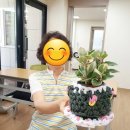 구포2동-6 이미지