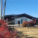 태영목장 이미지