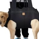 풍기동물병원 이미지