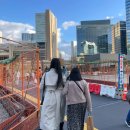 도희농장 | 2024년 12월 오사카, 교토 가족 여행기 (3일차, 4일차)