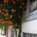 맘스터치 자인점 이미지