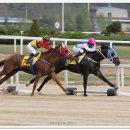 경마공원 이미지