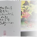 흙소리 티스토리