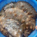 서산해산물