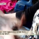 서명농장 이미지