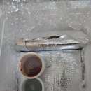 백암왕순대국 | 밀키트 끝판왕 등장~~ 순대국밥·순대국밀키트 찾다가 반해버린 백암왕순대 얼큰 오소리 순대국 솔직후기